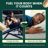 VitaMan